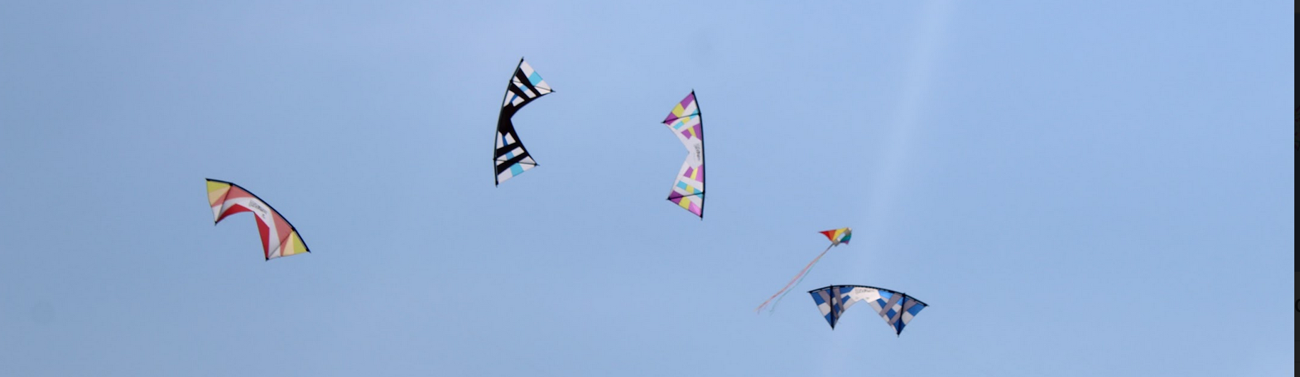 Screen Shot 2020-04-18 at 9.18.25 PM.png